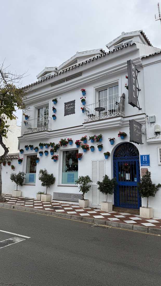 White Andalusian hotel with blue flower pots