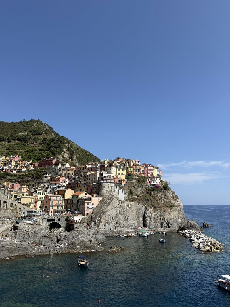 Pastel houses of Manarola above a blue cove