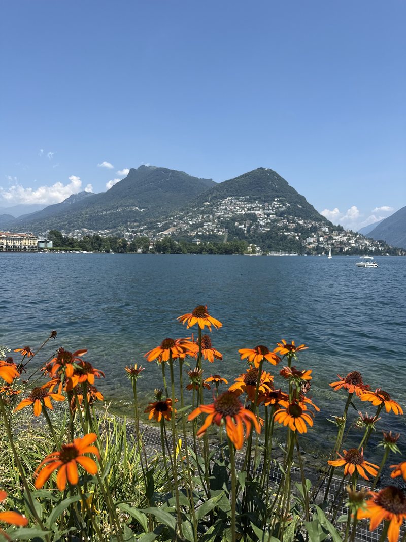Orange flowers along Lake Lugano with mountains behind